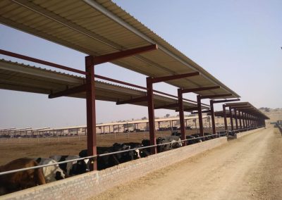 Rigid-Building-System-1