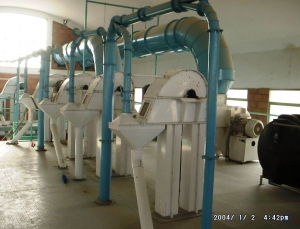 Seed Cleaning Machine